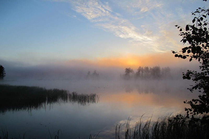 1.PetraHietala