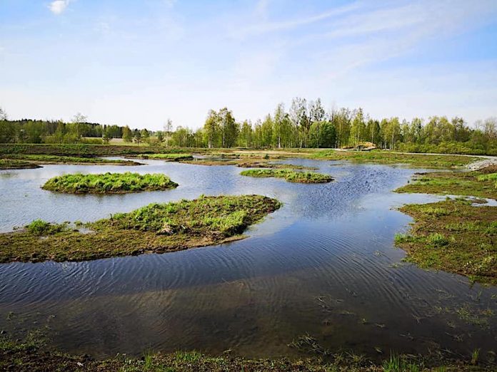pahajoki2