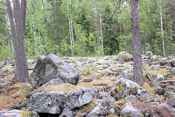 Palvelutarjontaa retkeilyreiteille